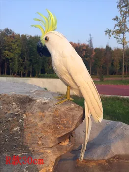 biele perie papagáj vták model o 32 cm polyetylénu&perie cockatoo domov, záhradné dekorácie, darčekové s2993