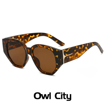 In Populárne Módne Nadrozmerná Cat Eye slnečné Okuliare Žena Vintage Mnohouholník Okuliare Mužov Leopard Slnečné Okuliare Odtiene UV400