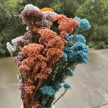 50g/25-40 cm,Prírodný Konzervované Mi Kvet Bouque,Displej Kvet pre Svadobné Party Domáce Dekorácie doplnky,usporiadať kvety