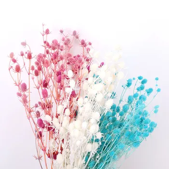 Hot-Predaj Milenca Ovocie Multicolor Konzervované Sušené Kvety Kytice Newyear Svadobné Fotografie Ploche Domov Miestnosti Dekorácie