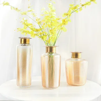 Jednoduché, moderné kovové kruhu sklo sušené kvety hydroponické váza ploche obývacia izba dekorácie dovolenku dar váza ozdoby