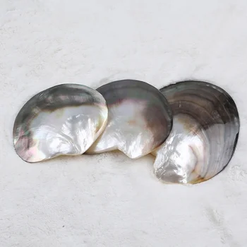 Hot Predaj Lešteného Prírodného Čierna perleť Shell Vložkou Plavidlá Seashell