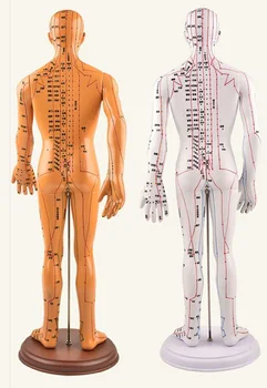 Akupunktúra Ľudské Telo Modelu Vyučovania Pomoci Rameno Celé Telo, Zdravotníckych Žena Kati